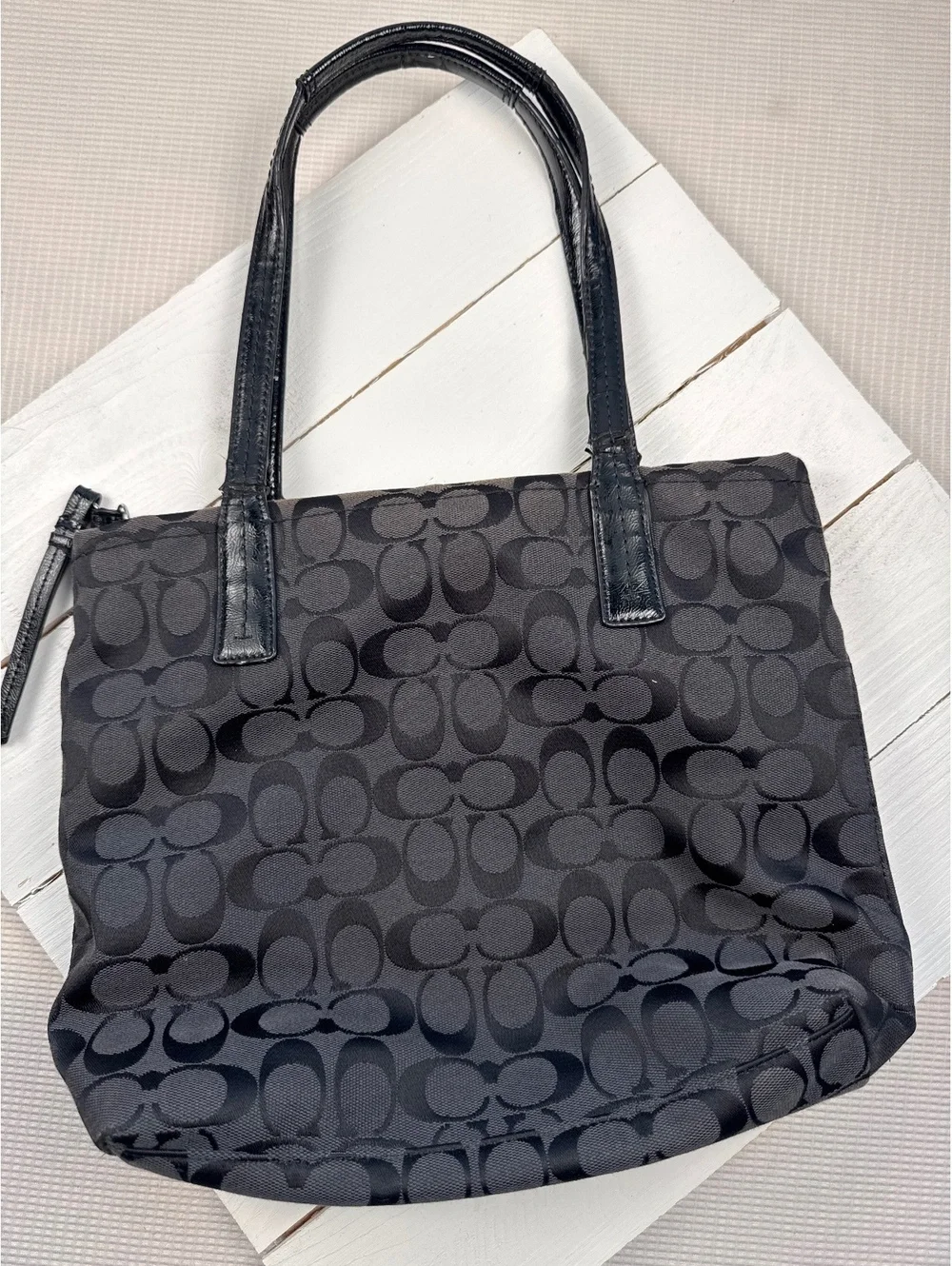 Y2K coach python stripe bag